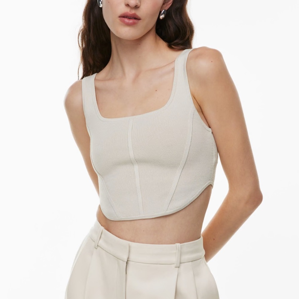 Aritzia Babaton sculpt knit bustier tank